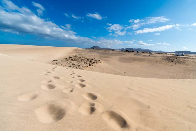 Landscape. Fuertaventura corralejo desert