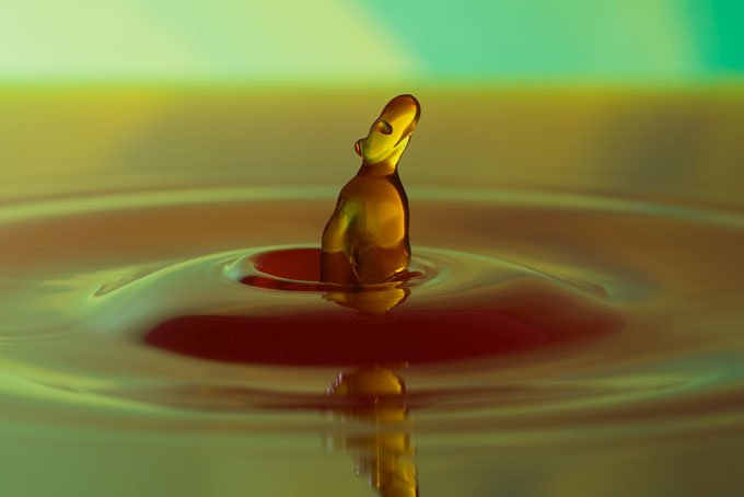 Macro. Homer abstract waterdrop