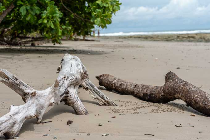Landscape. Playa Santa Teresa beach Costa Rica